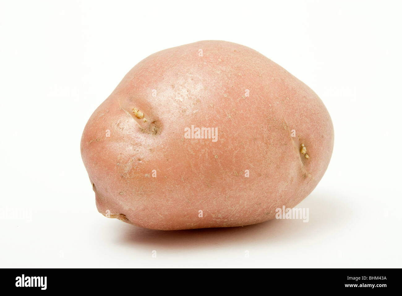 https://c8.alamy.com/comp/BHM43A/single-red-skin-potato-isolated-against-white-background-BHM43A.jpg