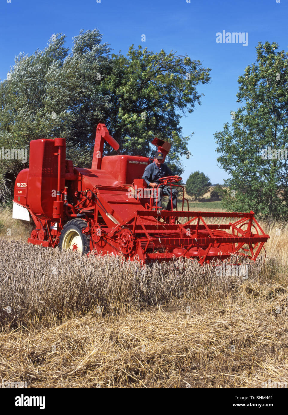 Massey Harris 780 Combine Harvester Stock Photo - Alamy