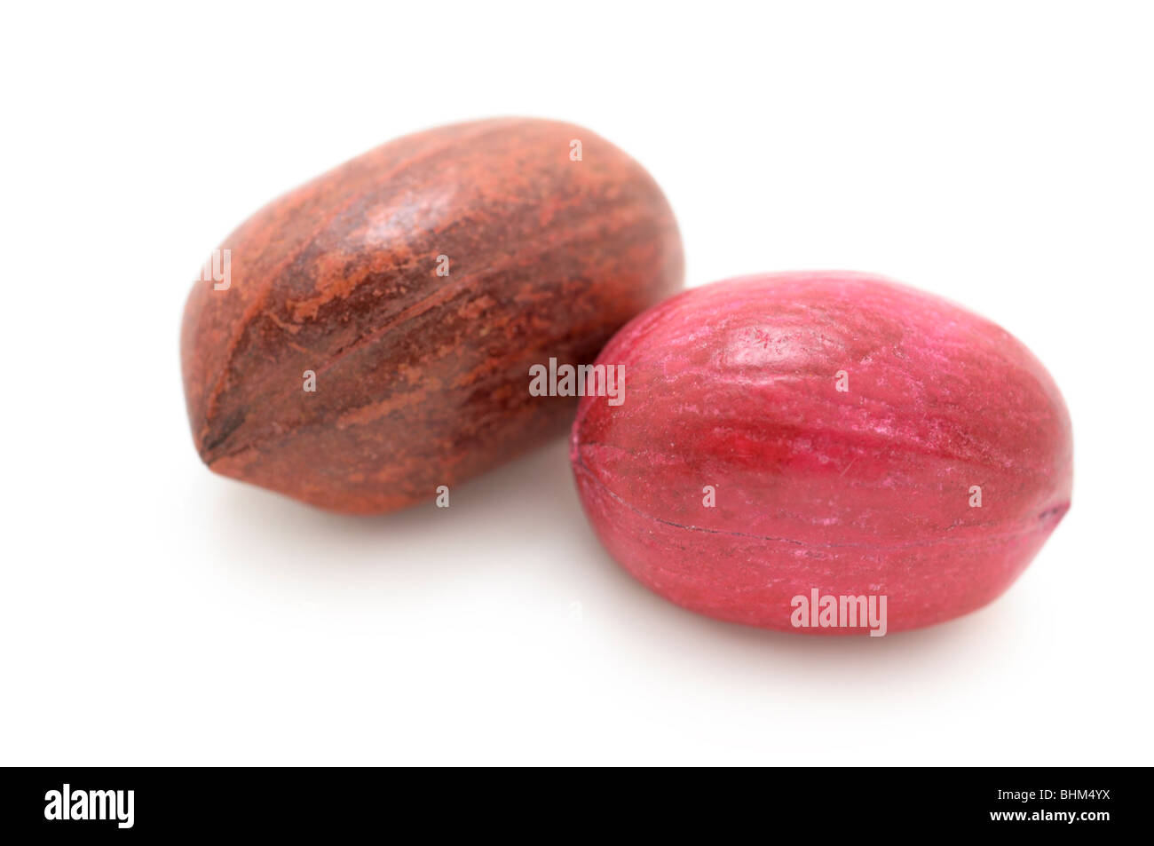 Pecan Nuts in Shells Stock Photo