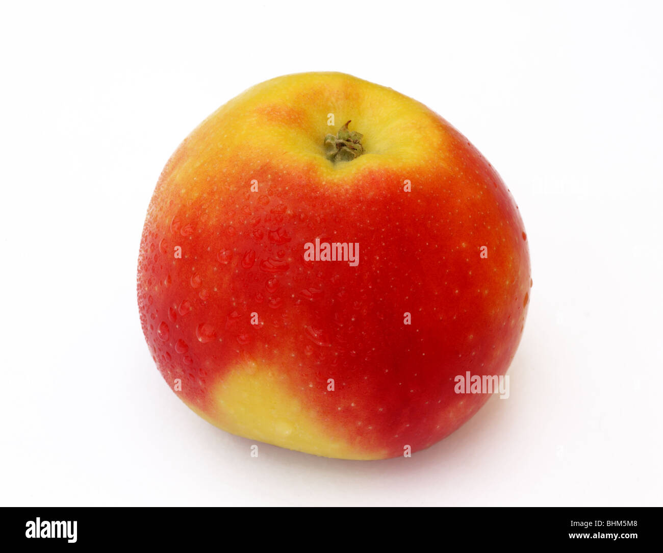 Ripe, fresh, British dessert apple with water drops on a white background. Stock Photo