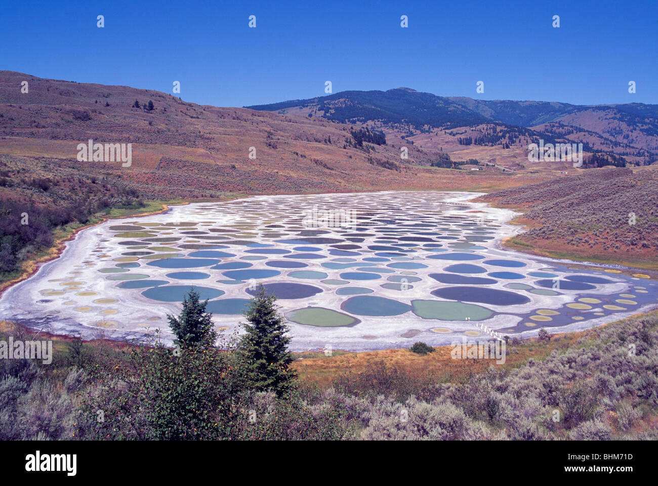 Spotted Lake Near Osoyoos South Okanagan Valley British Columbia Canada Historical First Nations Sacred Mineral Waters Stock Photo Alamy Spotted Lake Near Osoyoos South Okanagan Valley British Columbia Canada Historical First Nations Sacred Mineral Waters Stock Photo Alamy