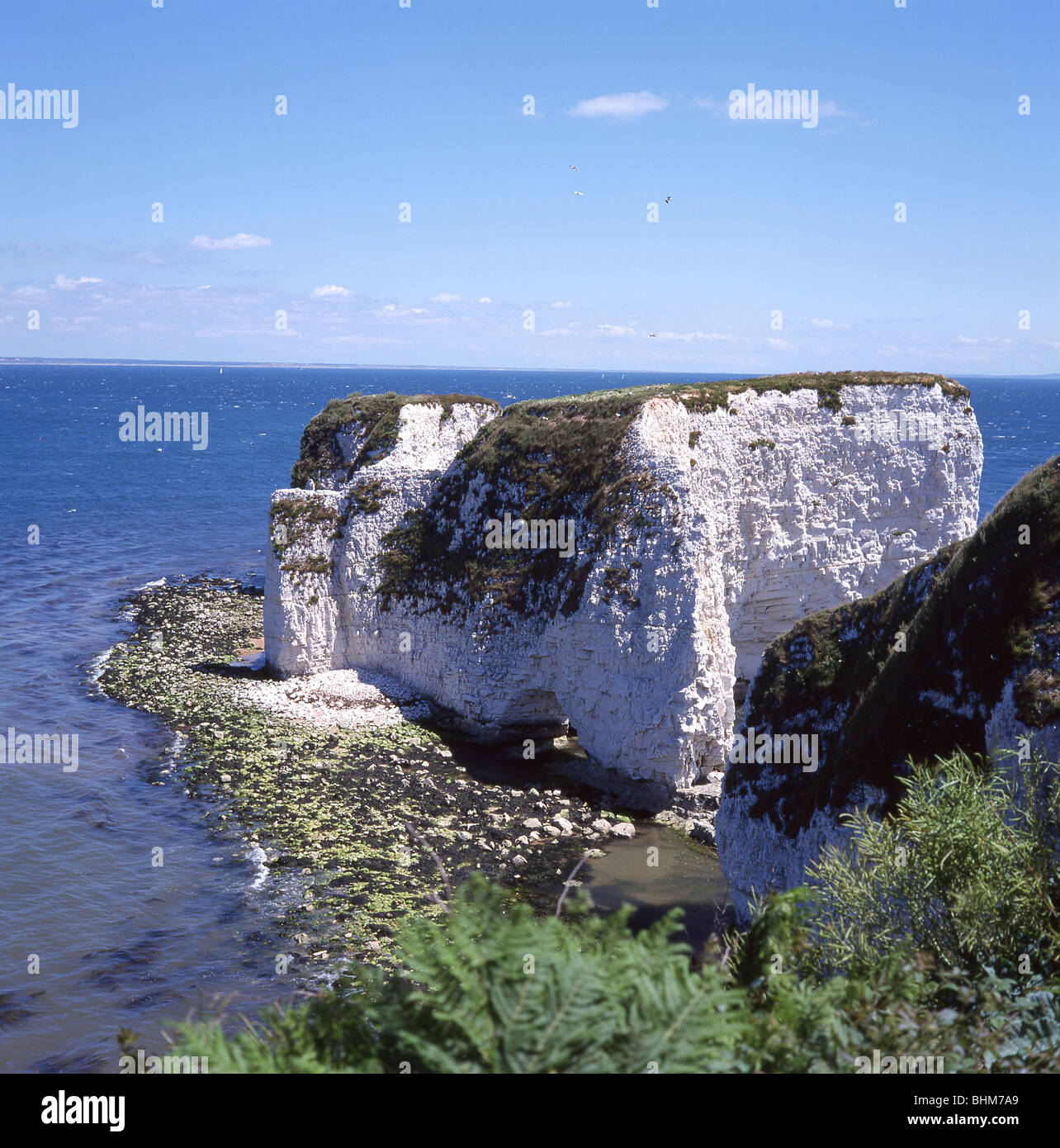 Handfast point near old harry rocks hi-res stock photography and images ...