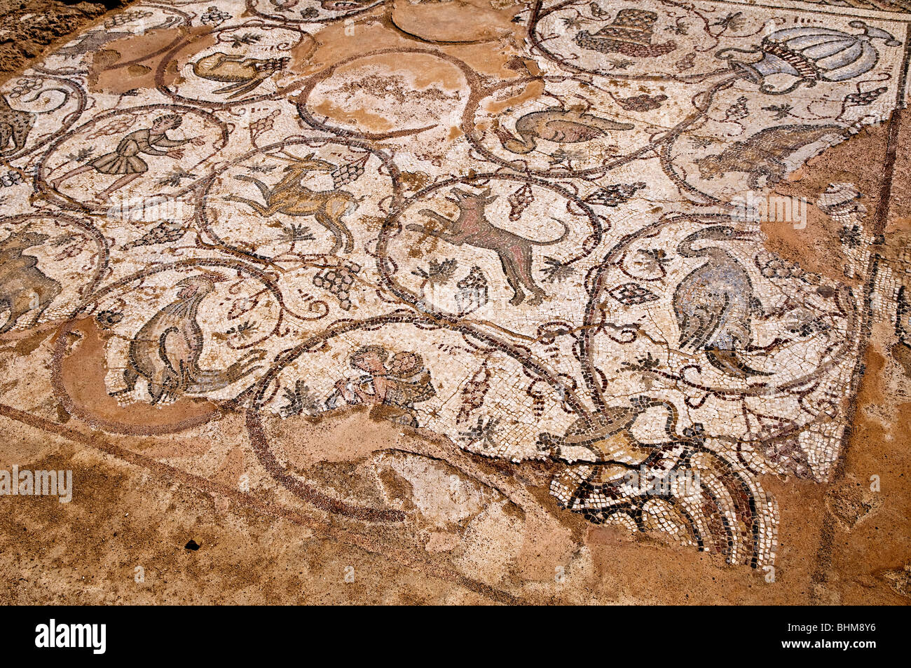 Figurative ancient floor mosaic depicting animals and birds in Caesarea national park Israel Stock Photo