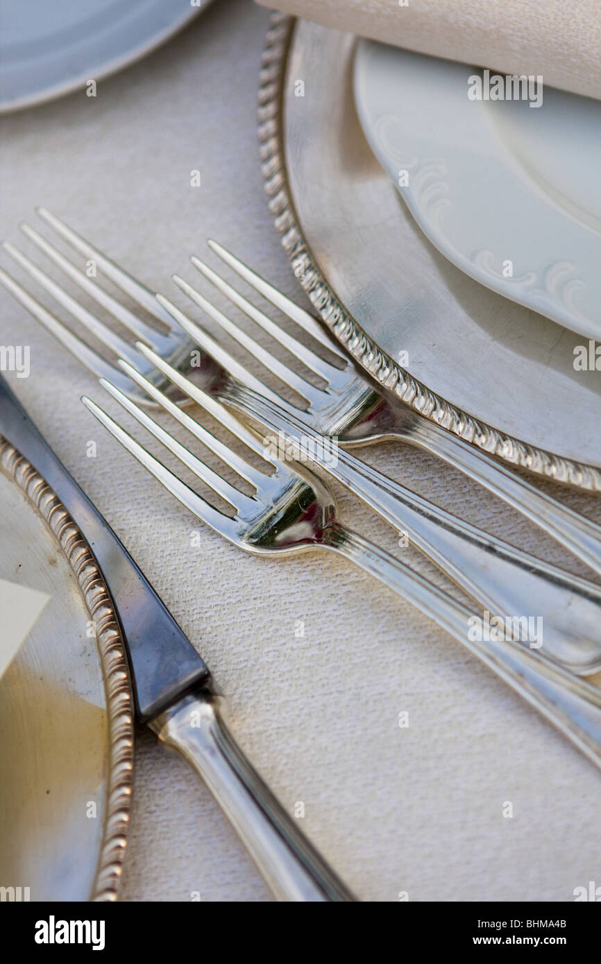 Forks on a place setting Stock Photo Alamy