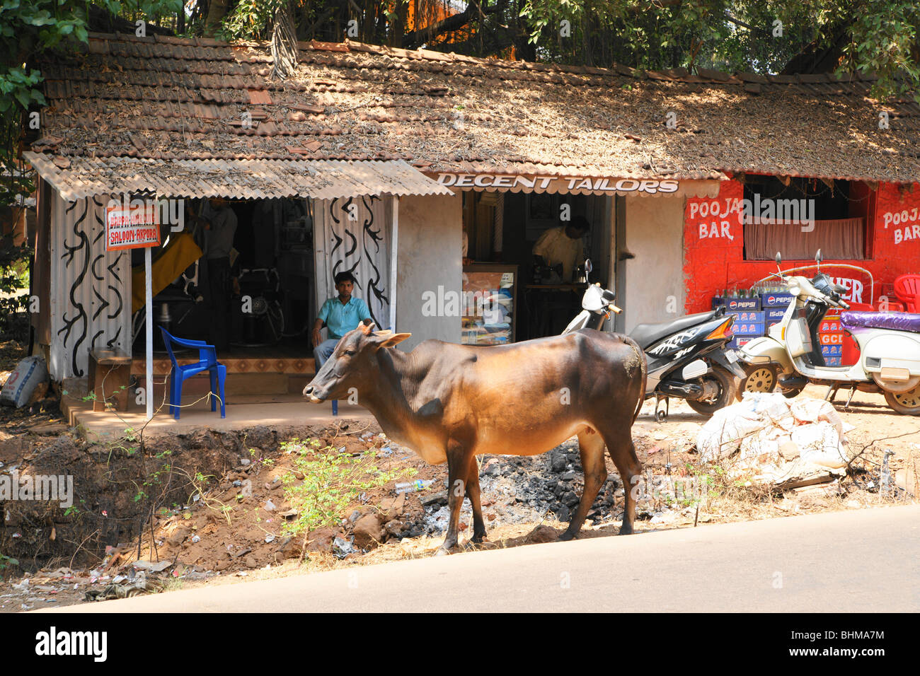 Holy cow outside the shops at Arpora, Goa. Stock Photo