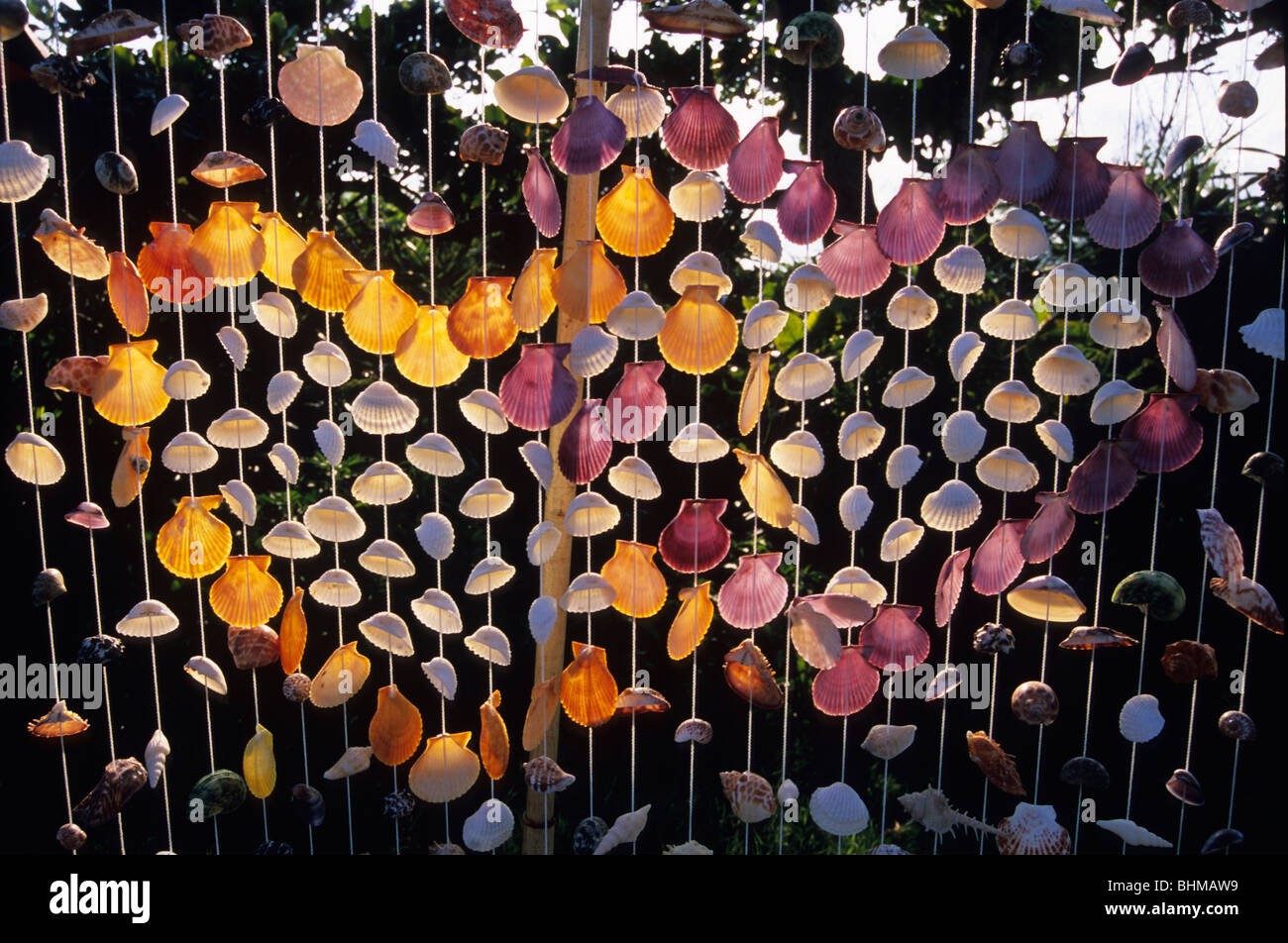 Souvenir shells hi-res stock photography and images - Alamy