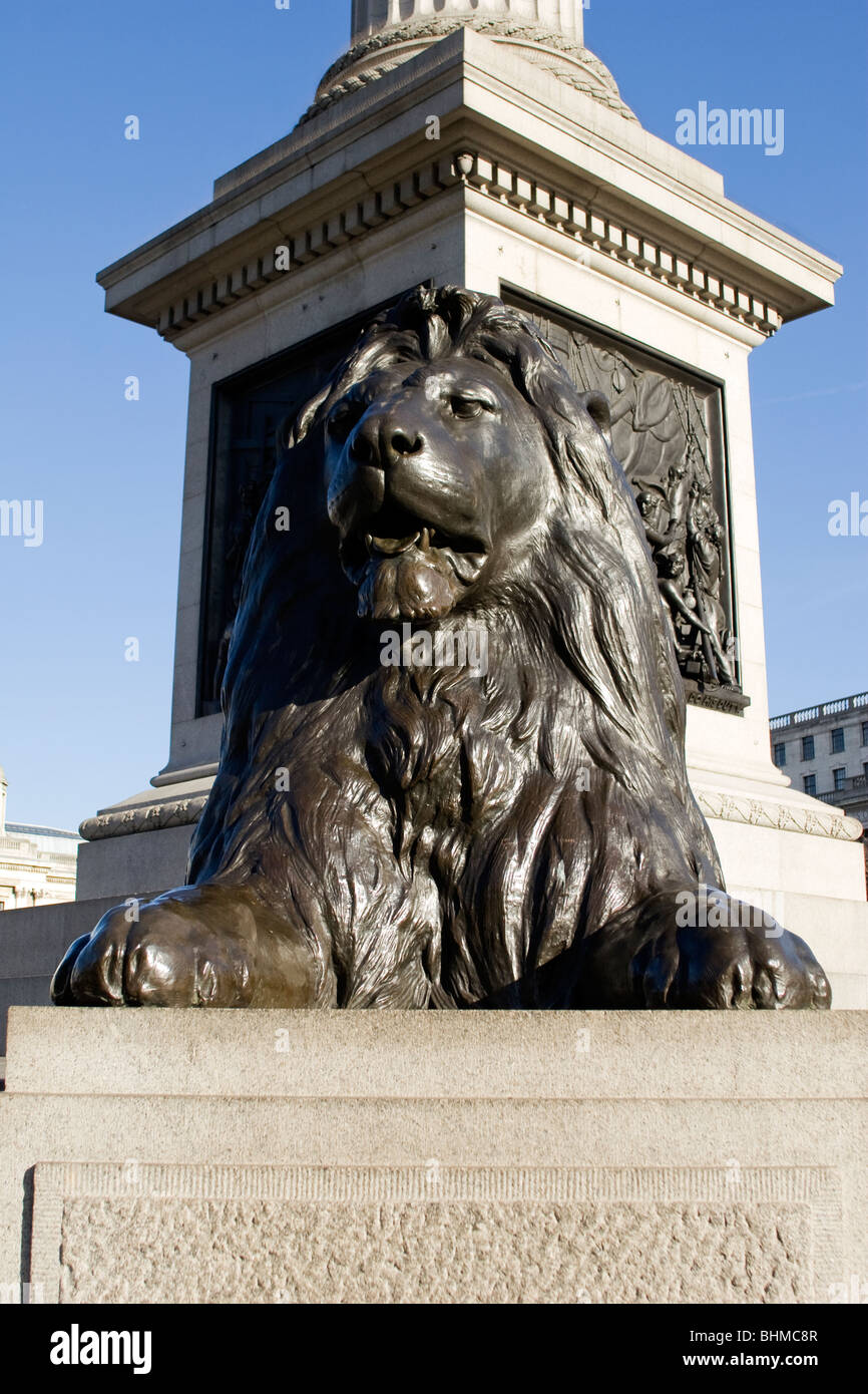 Close up view of the lions beneath Nelsons Column in Trafalgar Square, London Stock Photo