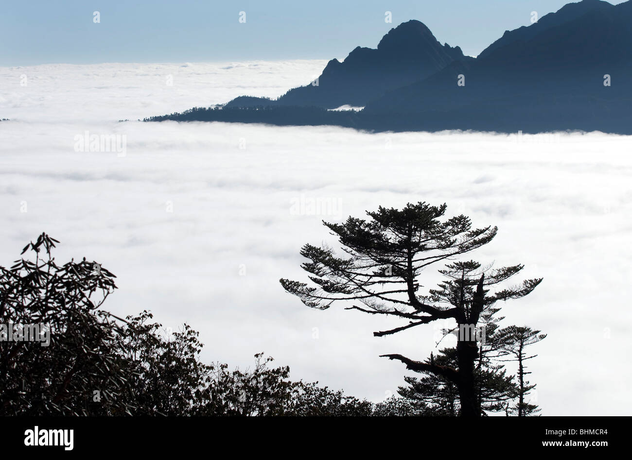 Cloud covers the valleys on hike toward the fast reducing Rathong Glacier in Sikkim India Stock Photo