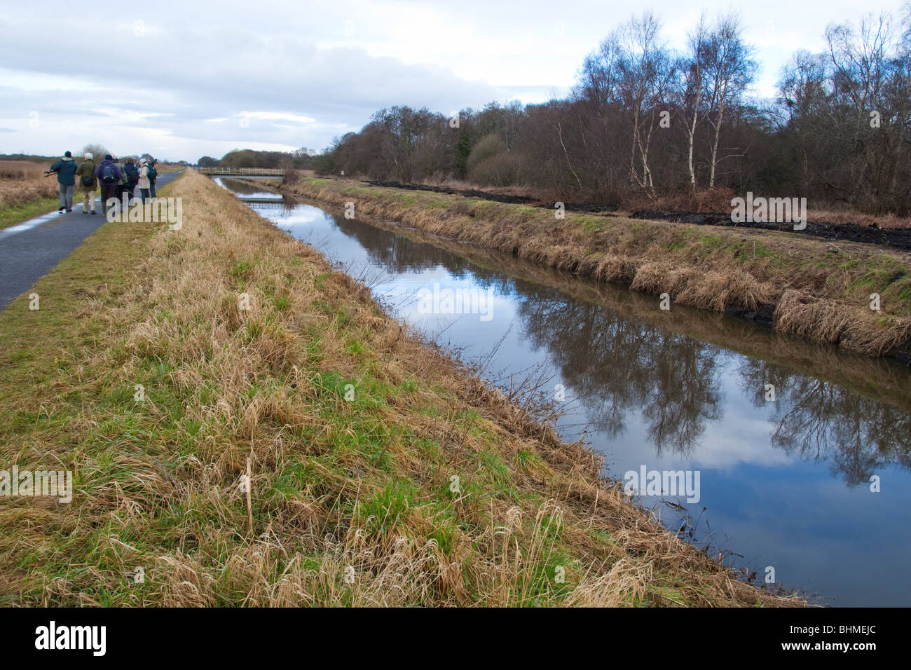 Path and South Drain running across Shapwick Heath part of the Avalon Marshes, Somerset Levels, Somerset, UK, winter Stock Photo