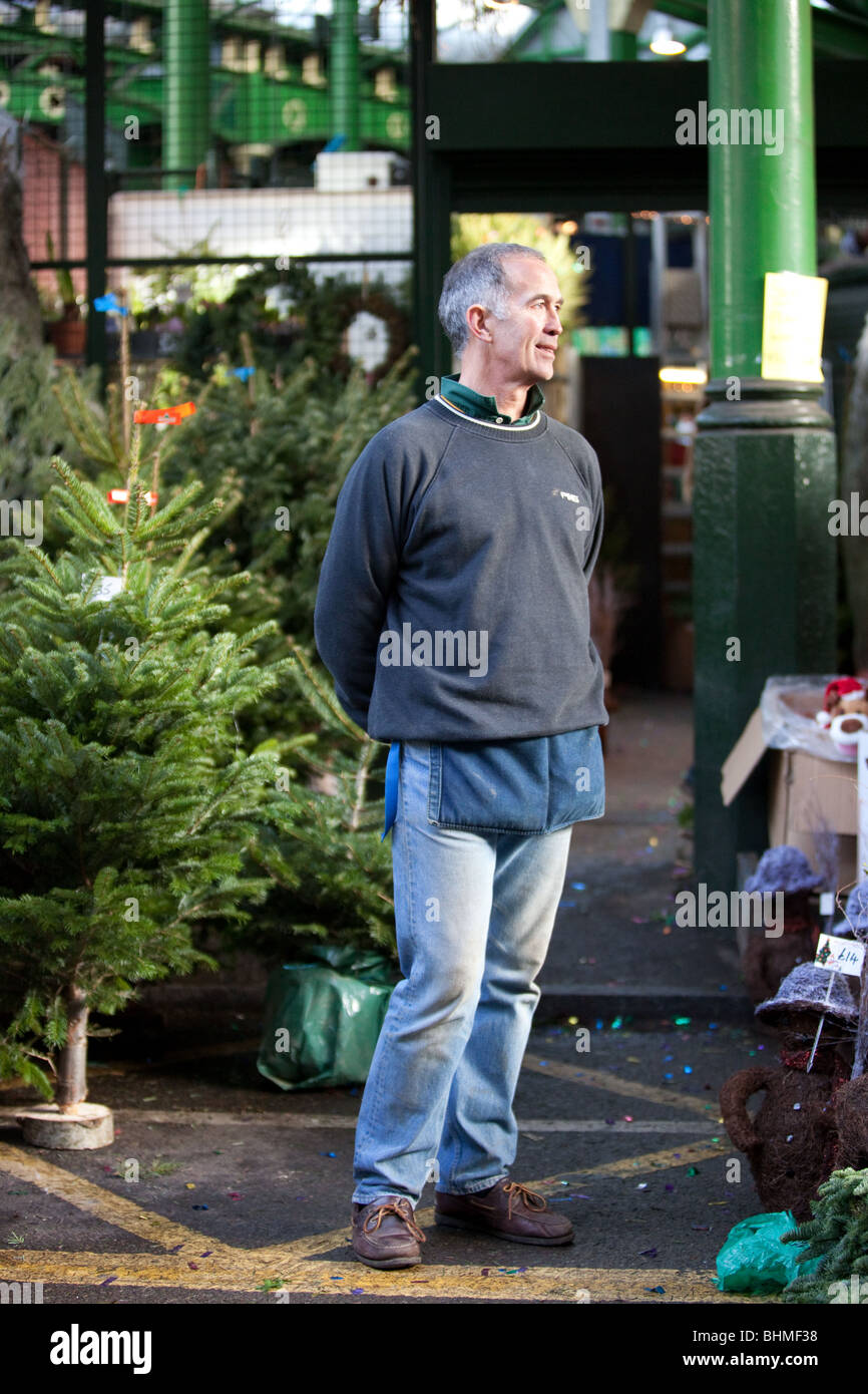 Christmas Tree Sales Stock Photo