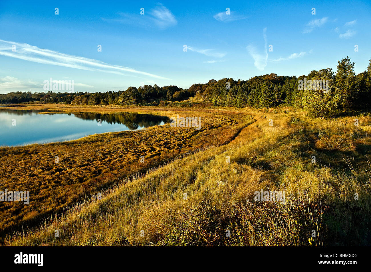 Salt pond and coastal wetlands, Eastham, Cape Cod, Massachusetts, USA Stock Photo