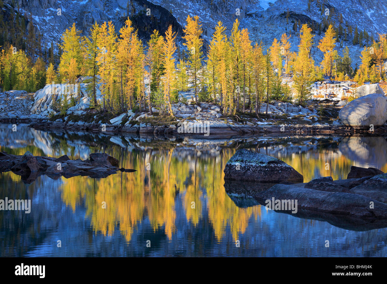 Larch trees at Enchantment Lakes Stock Photo - Alamy