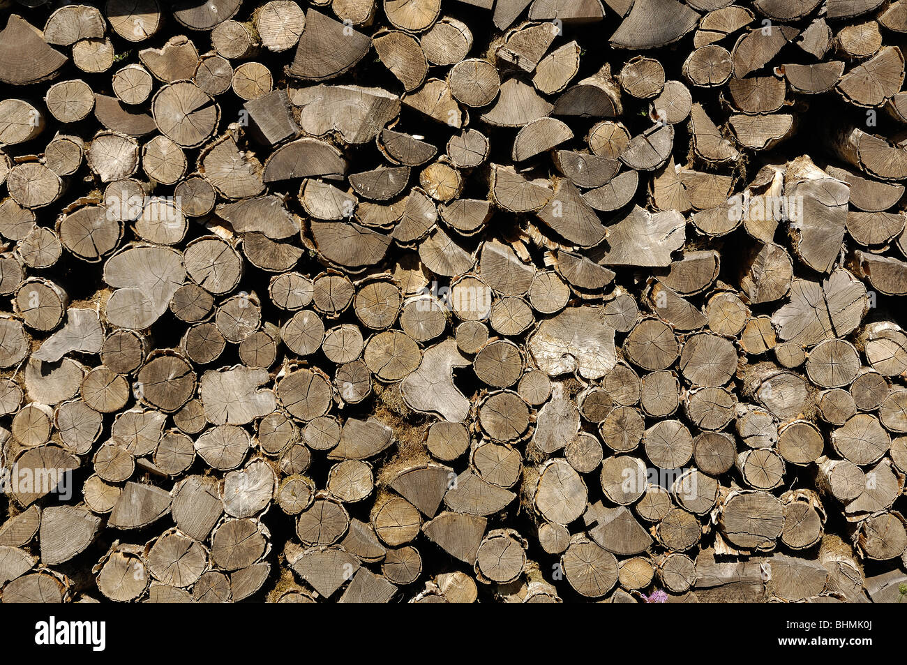 chopped fire wood in a stack Stock Photo - Alamy