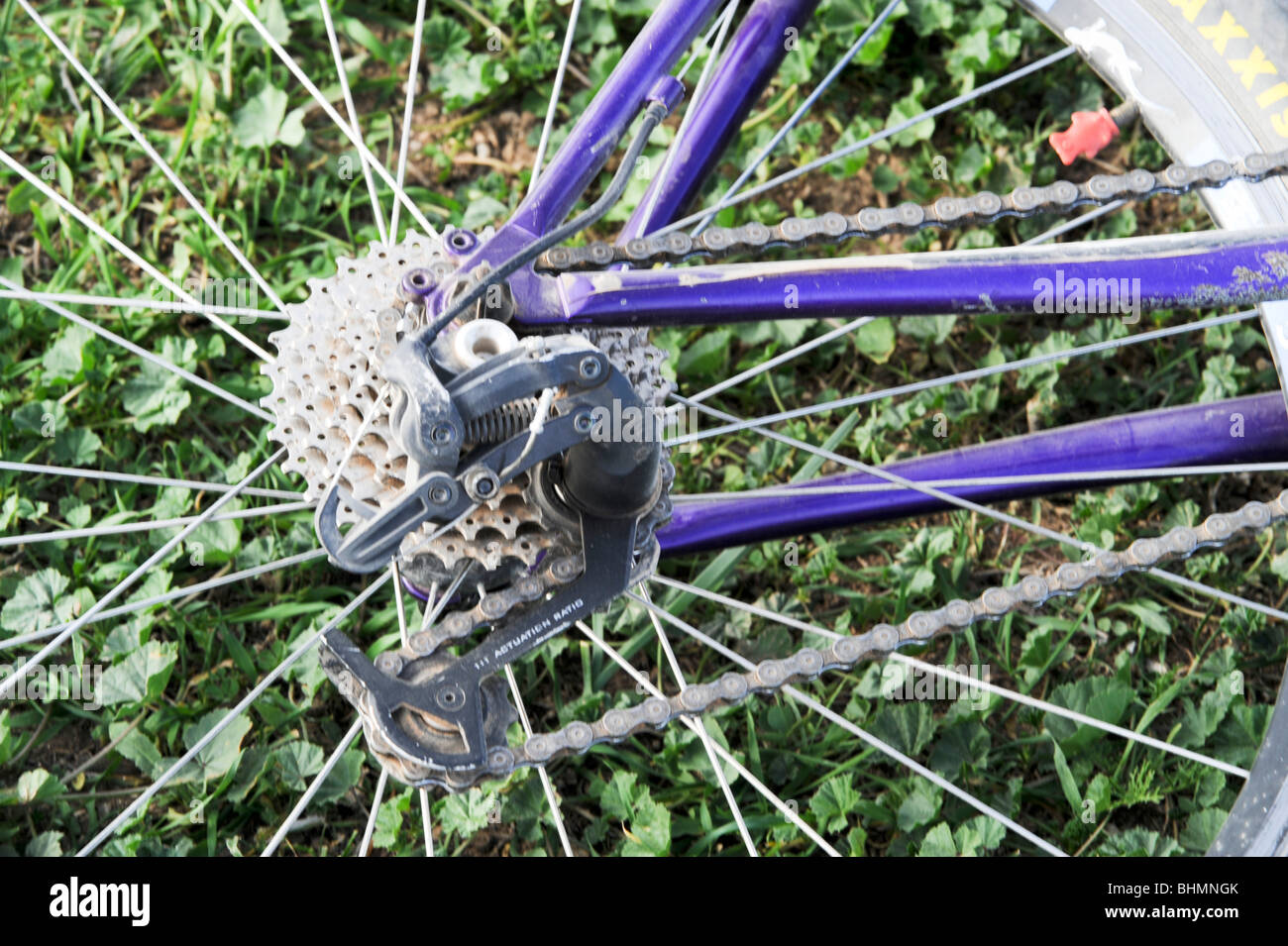 Bicycle cog wheel and rear wheel gears Stock Photo