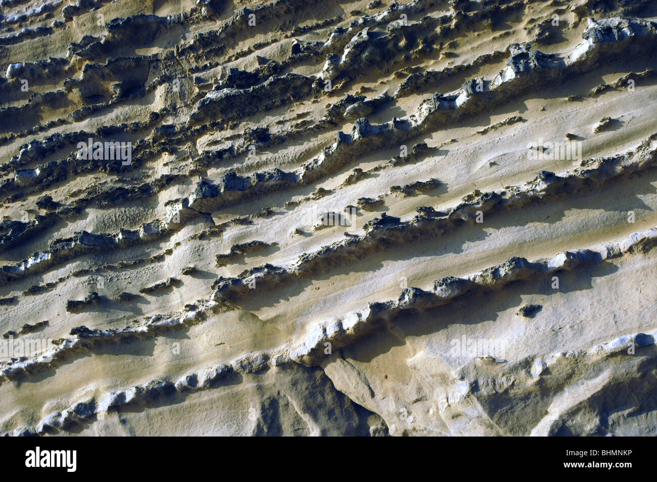 UK Erosion and fossils along the Dorset coast near Bridport Stock Photo