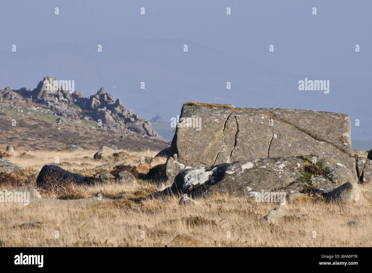 Blue stone rock, Carningli Common, Newport, Pembrokeshire, Wales