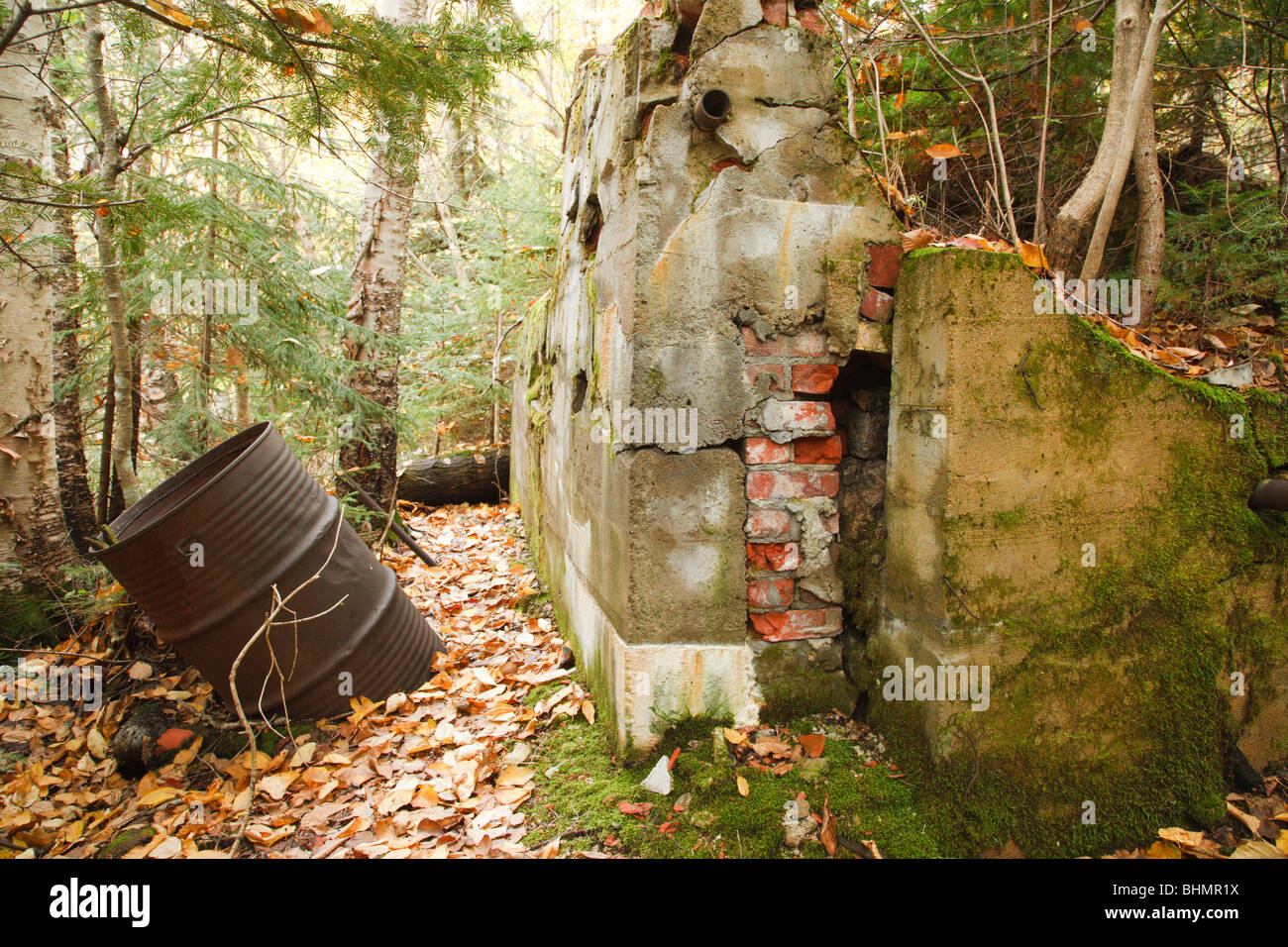 Nancy Brook Scenic Area - Remnants of 'Lucy Mill' along Nancy Pond Trail in the White Mountains, New Hampshire USA Stock Photo