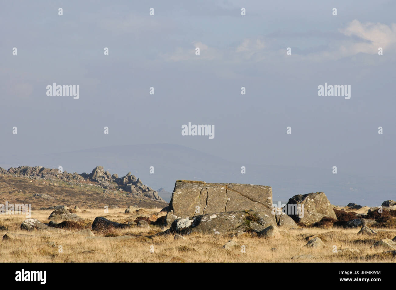 Blue stone rock, Carningli Common, Newport, Pembrokeshire, Wales