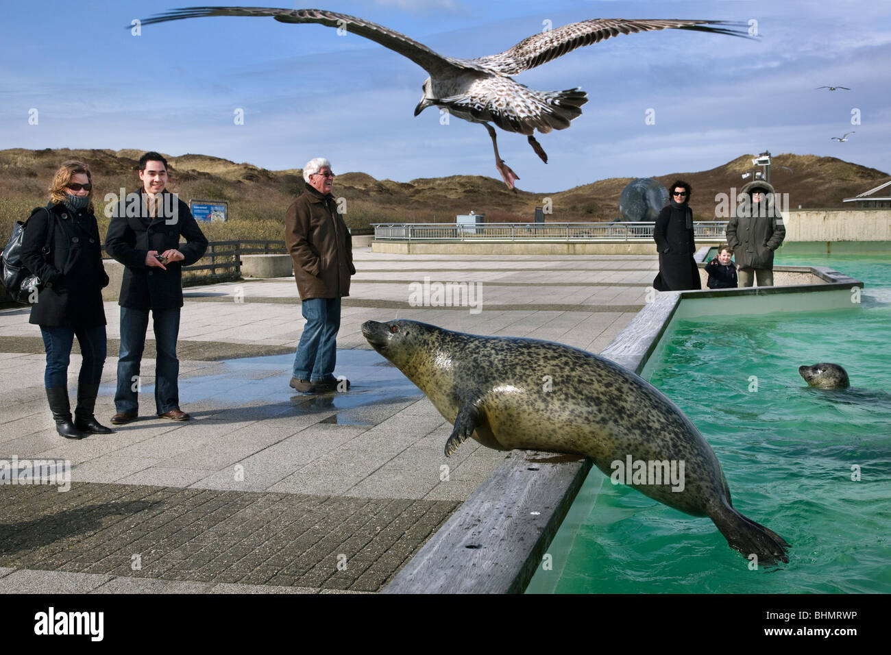Seal shelter in the Netherlands Seal shelter in the Netherlands