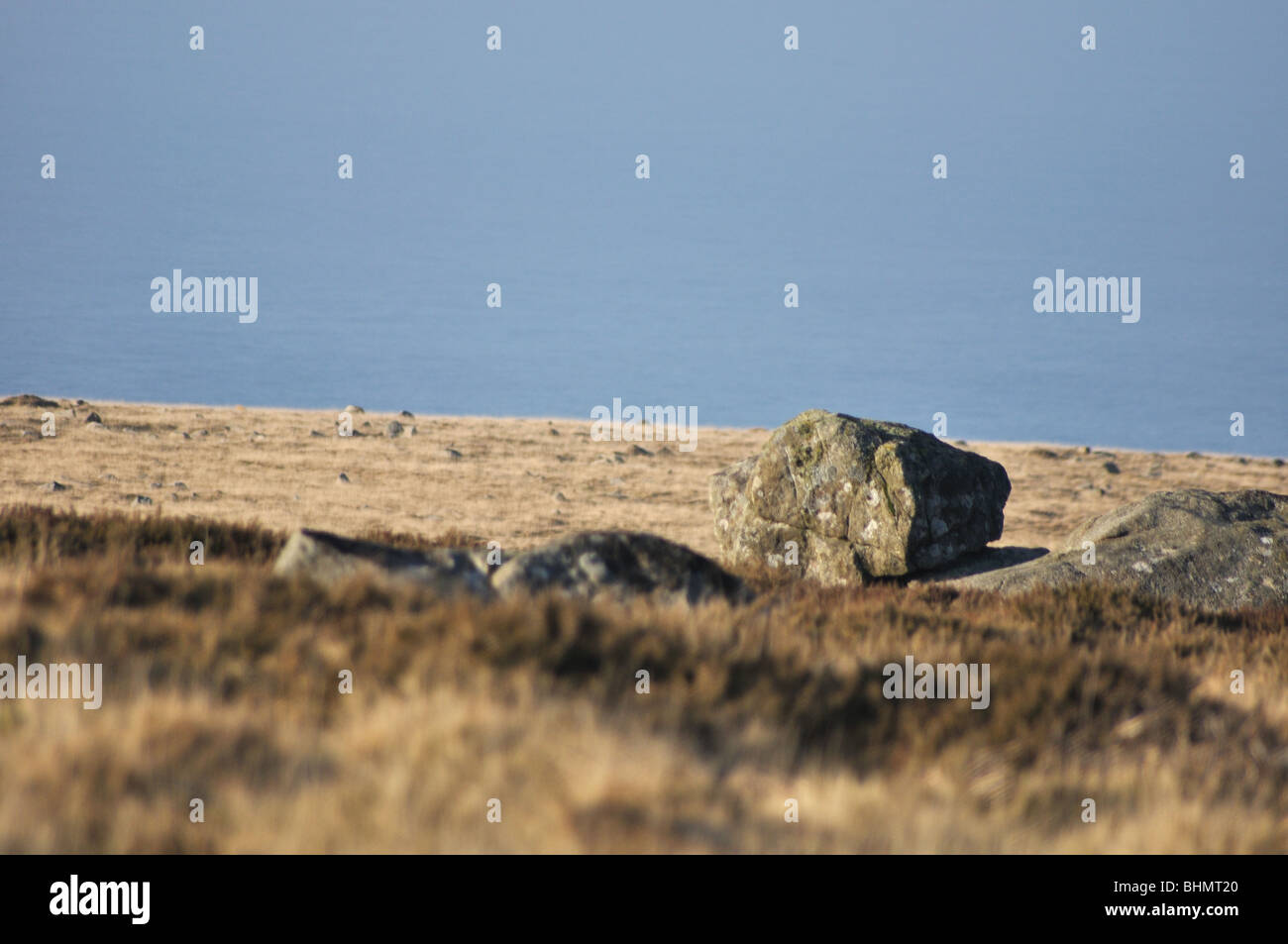 Blue stone rock, Carningli Common, Newport, Pembrokeshire, Wales