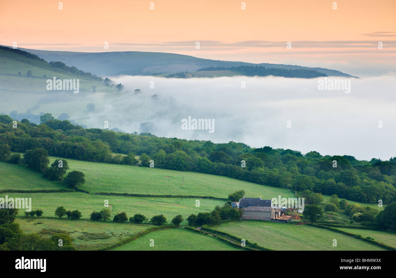 Isolated farm on a valley slope on a misty dawn, Brecon Beacons National Park, Powys, Wales. Summer (June) 2009 Stock Photo