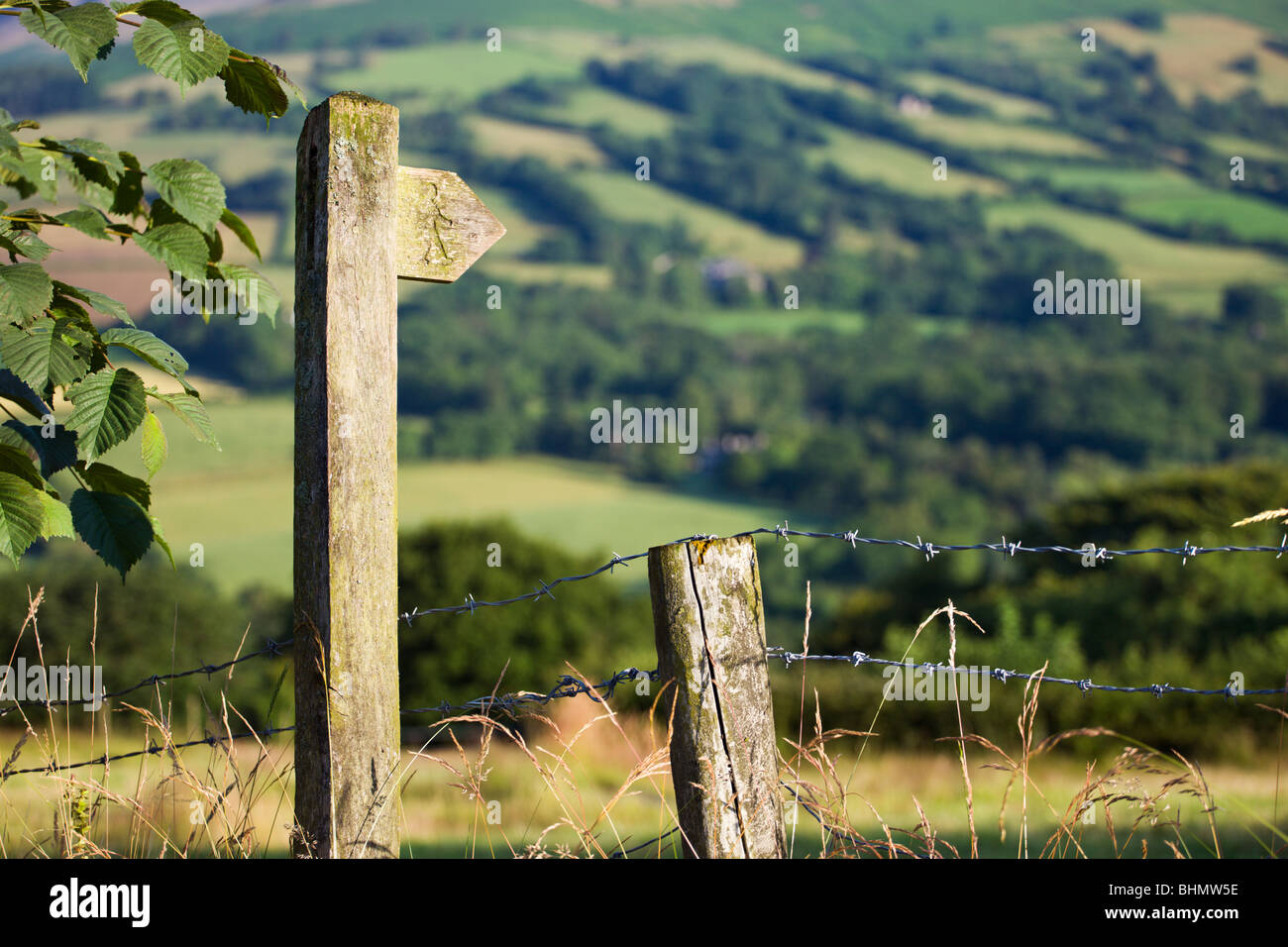 Wooden footpath signpost in the countryside, Brecon Beacons National Park, Powys, Wales, UK. Summer (July) 2009 Stock Photo