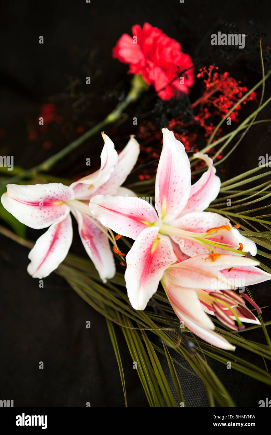 Lilies and red carnation Stock Photo