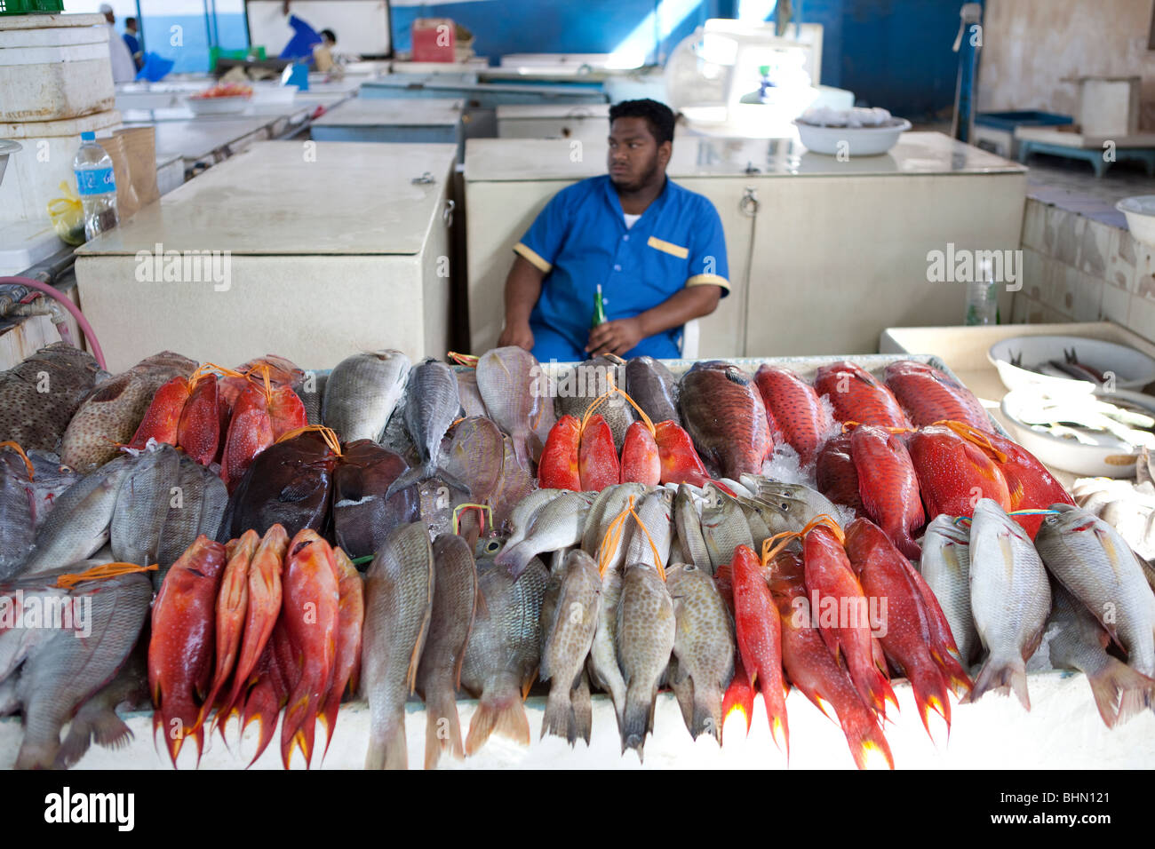 Fish market souk Jeddah Saudi Arabia Arabian food Stock Photo Alamy