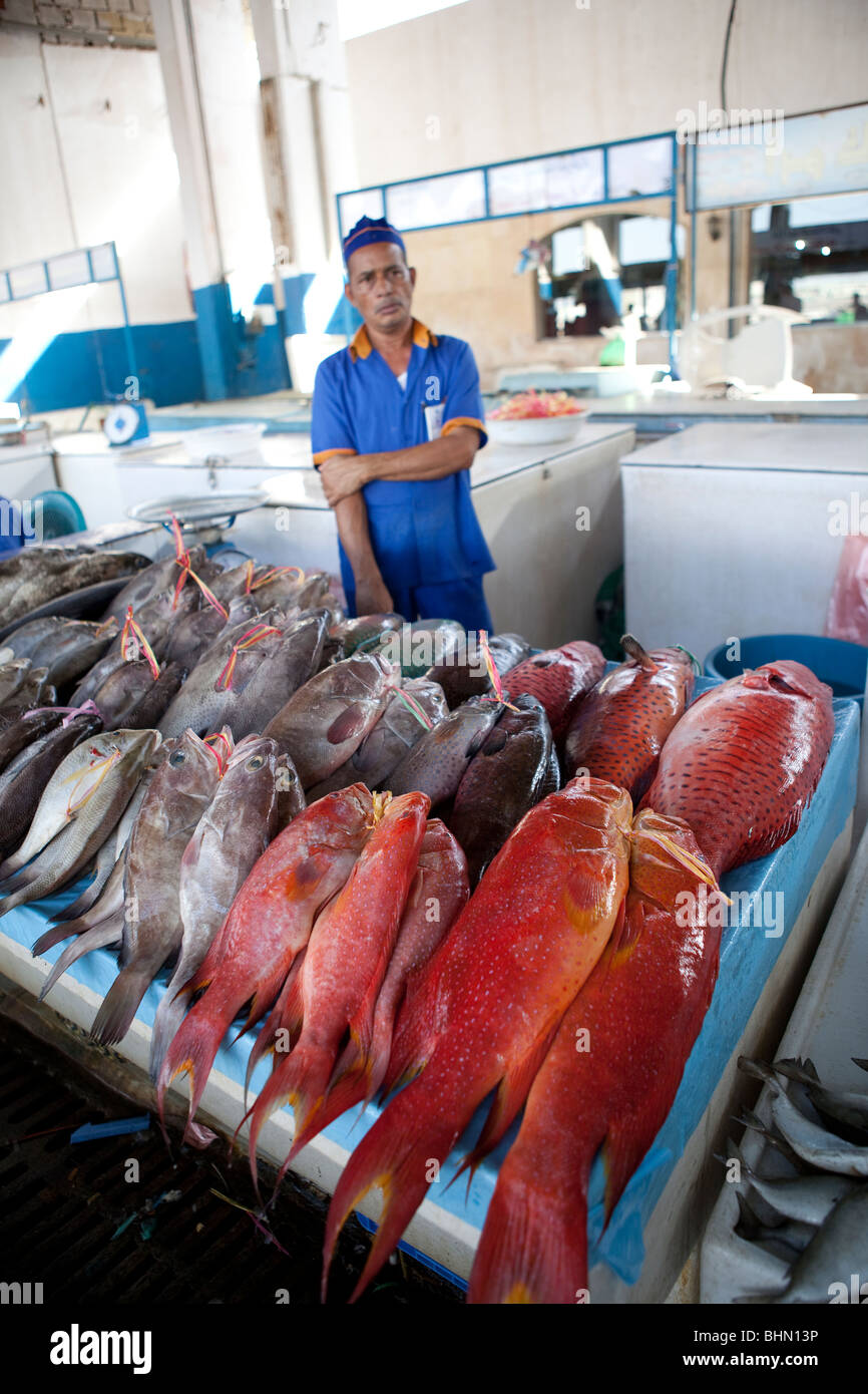 Fish market souk Jeddah Saudi Arabia Arabian food Stock Photo Alamy