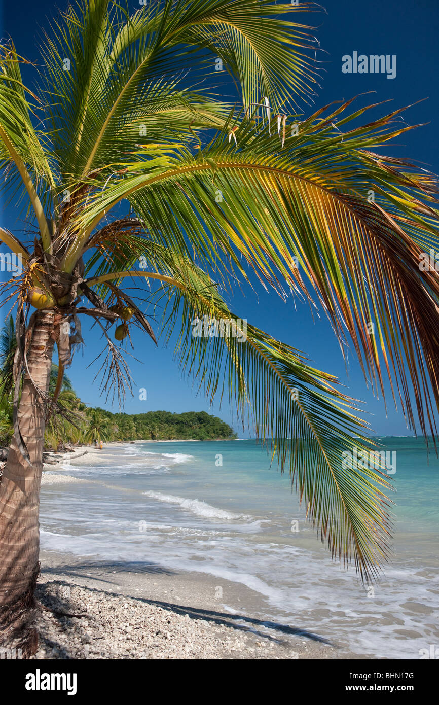 Cahuita National Park, Costa Rica Stock Photo Alamy Cahuita National Park, Costa Rica Stock Photo Alamy