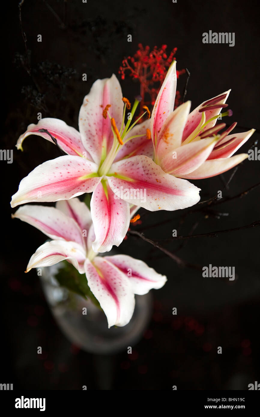 Lilies in clear glass vase Stock Photo Alamy