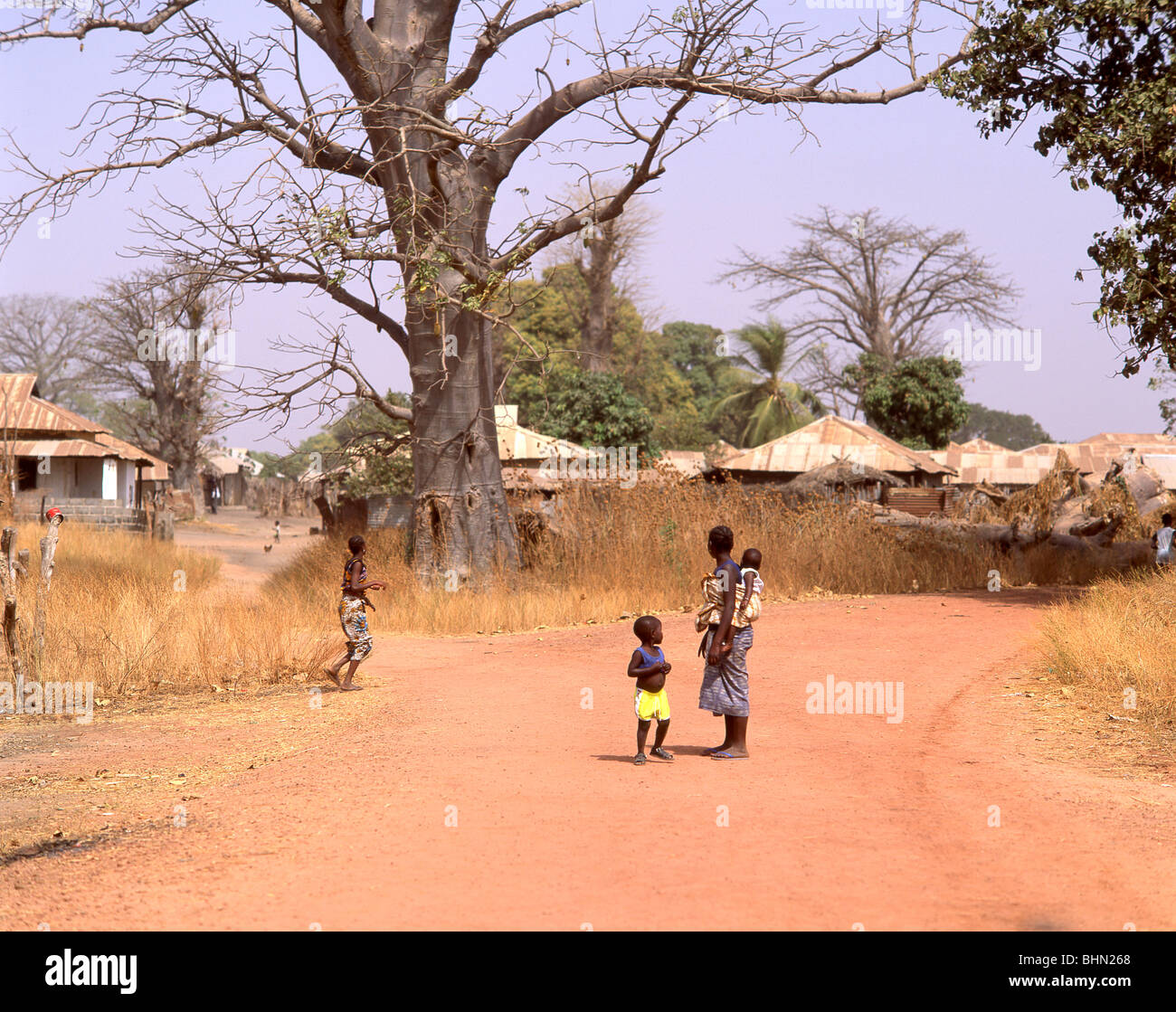 African village compound, Juffure, North Bank, Republic of the Gambia Stock Photo