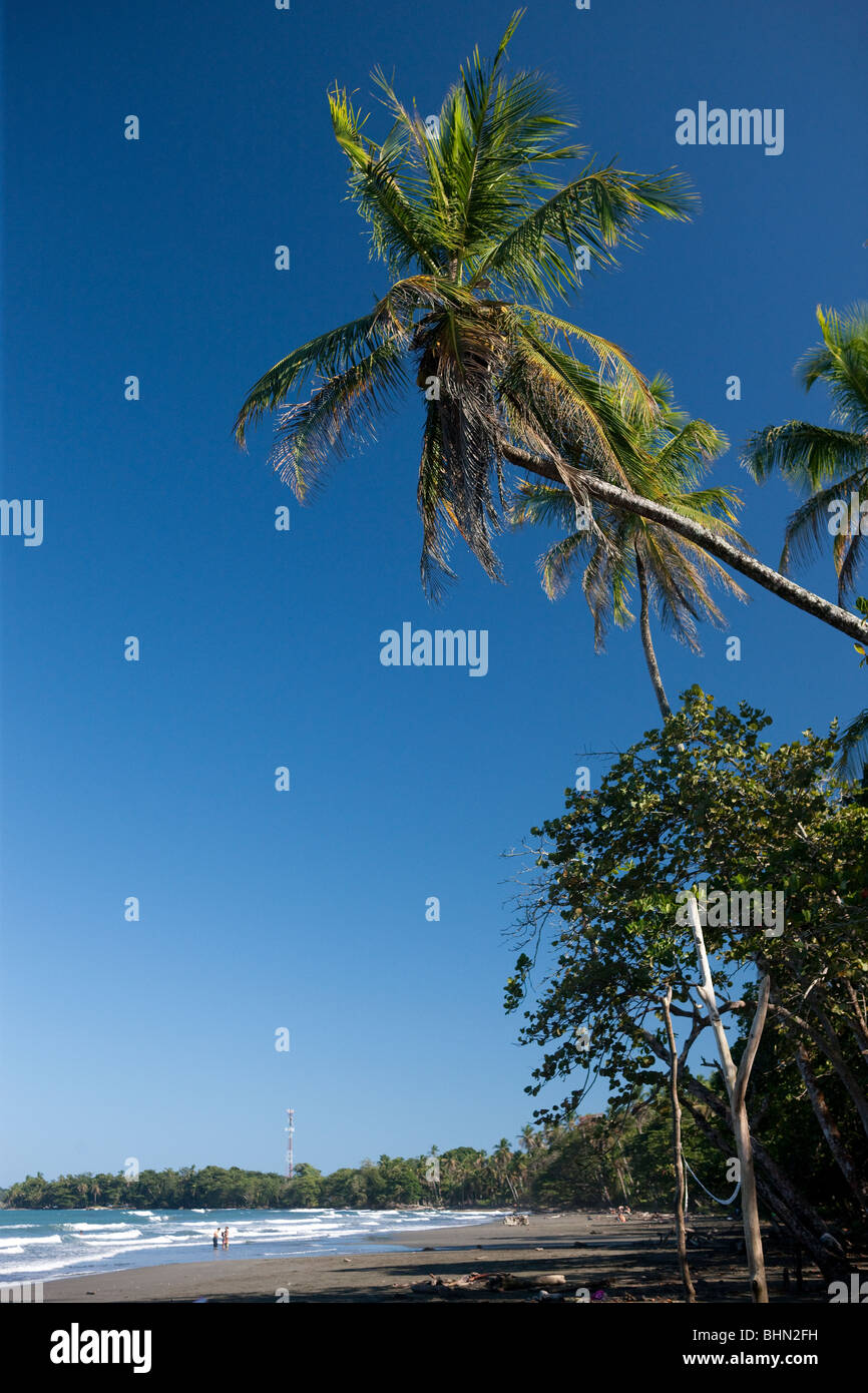 Playa Negra in Cahuita, Costa Rica Stock Photo Alamy
