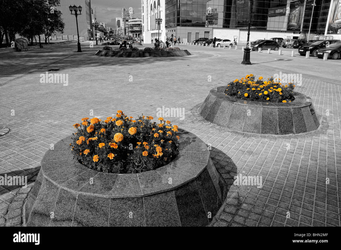 Two flower-beds. Ekaterinburg city series. Stock Photo