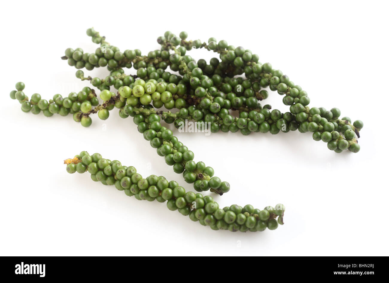 A drupe of green peppercorns from the vine, over white with a light shadow. Stock Photo