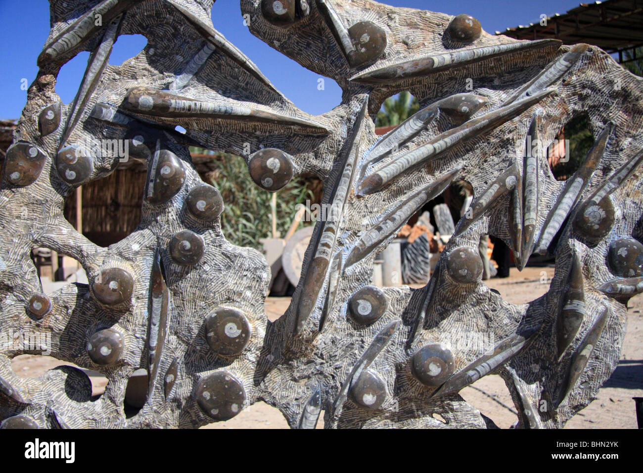 Detail of fossils including belemnites in rock st a fossil processing factory in Morocco, North Africa Stock Photo