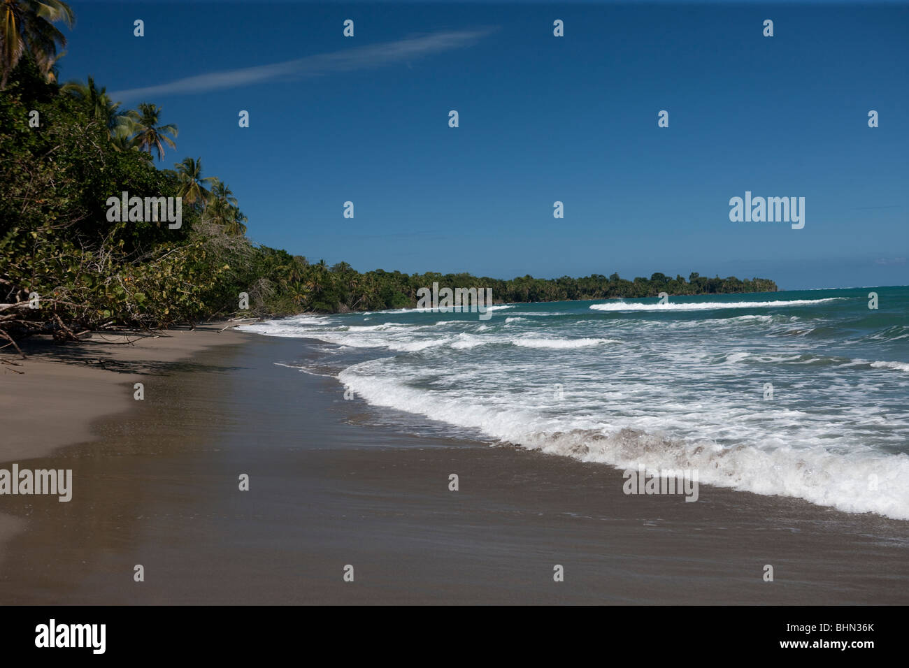 Cahuita National Park, Costa Rica Stock Photo Alamy Cahuita National Park, Costa Rica Stock Photo Alamy