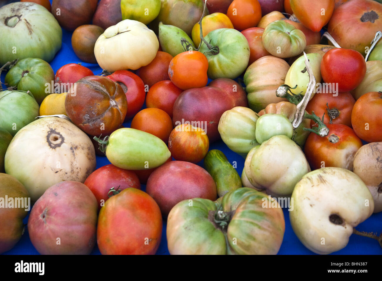 Organic heirloom (heritage) tomatoes, summer outdoor farmer's market, Toronto, Canada Stock Photo