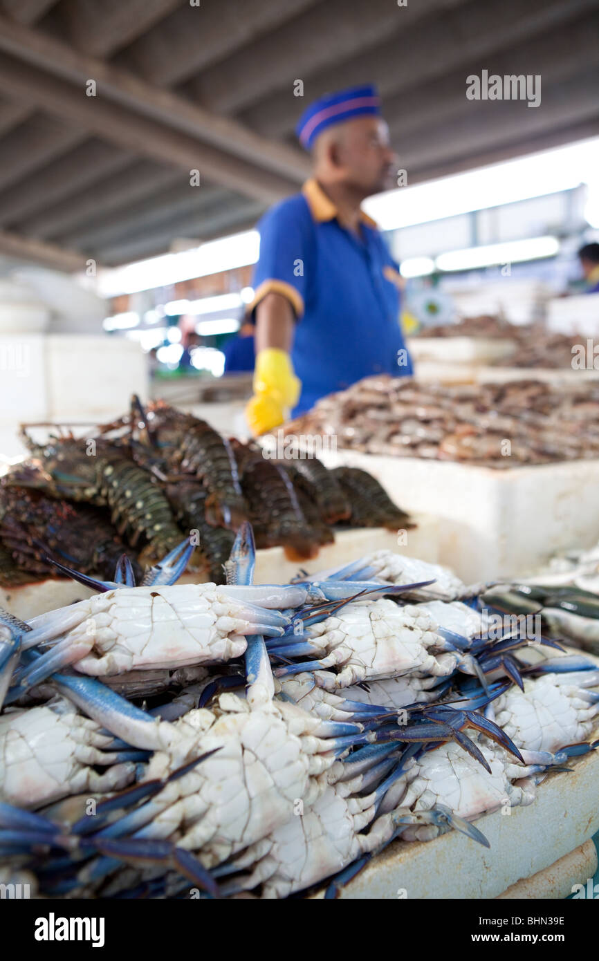 Fish market souk Jeddah Saudi Arabia Arabian food Stock Photo Alamy