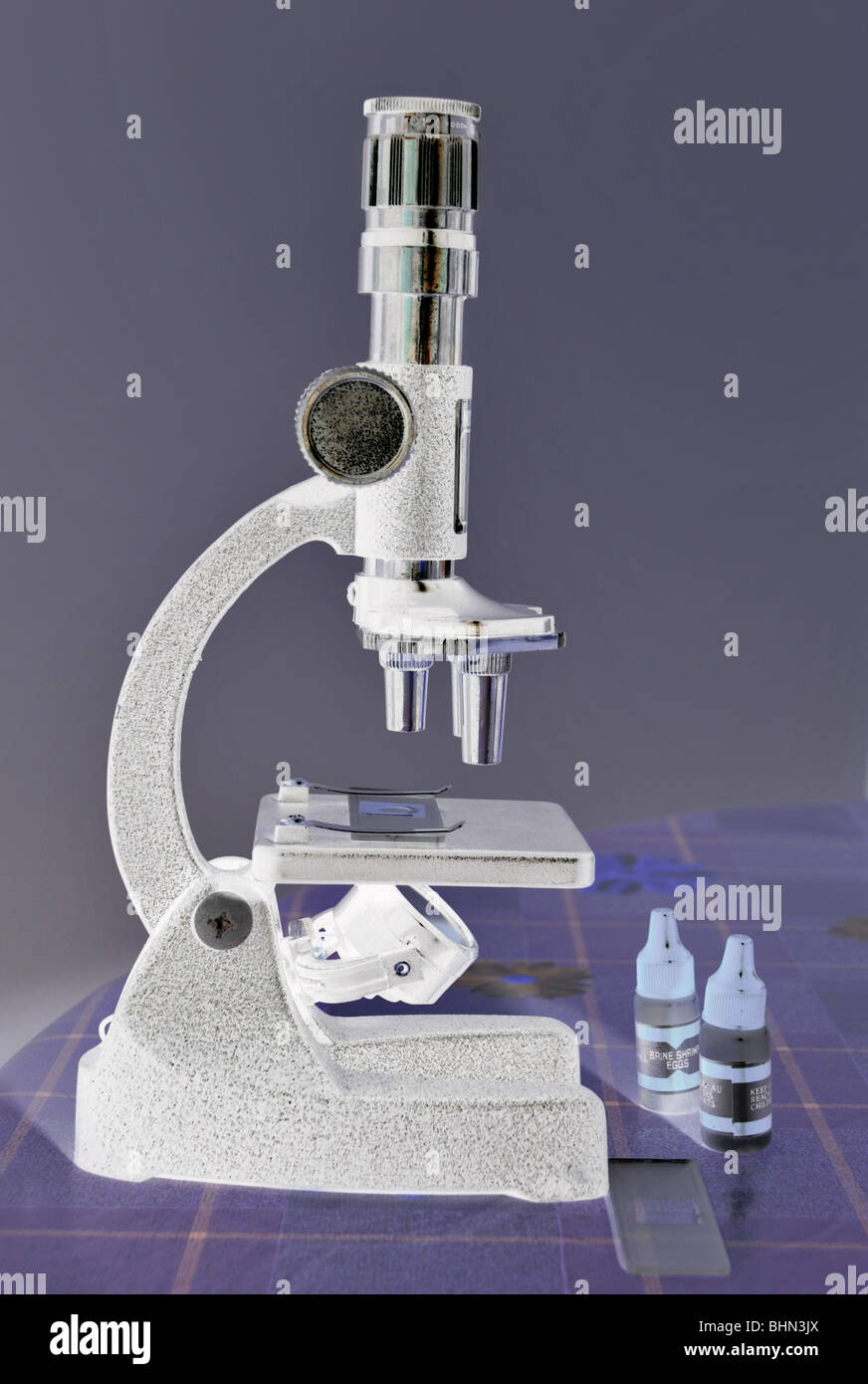an  inverted image of an optical microscope with two small containers of sea salt and brine shrimp eggs. Stock Photo