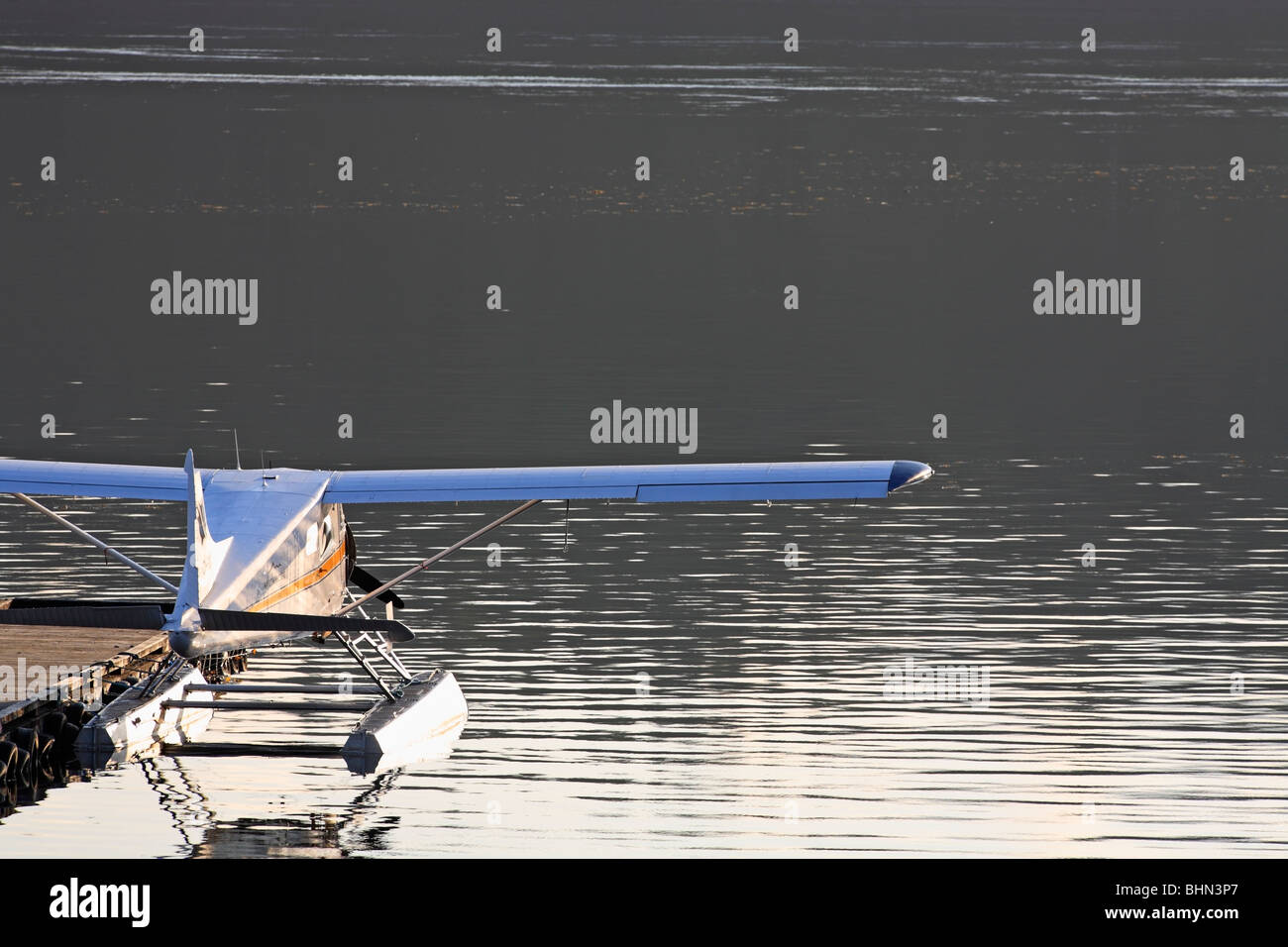 DeHavilland Beaver floatplane tied up at dock, Seal Cove, Prince Rupert, BC Stock Photo