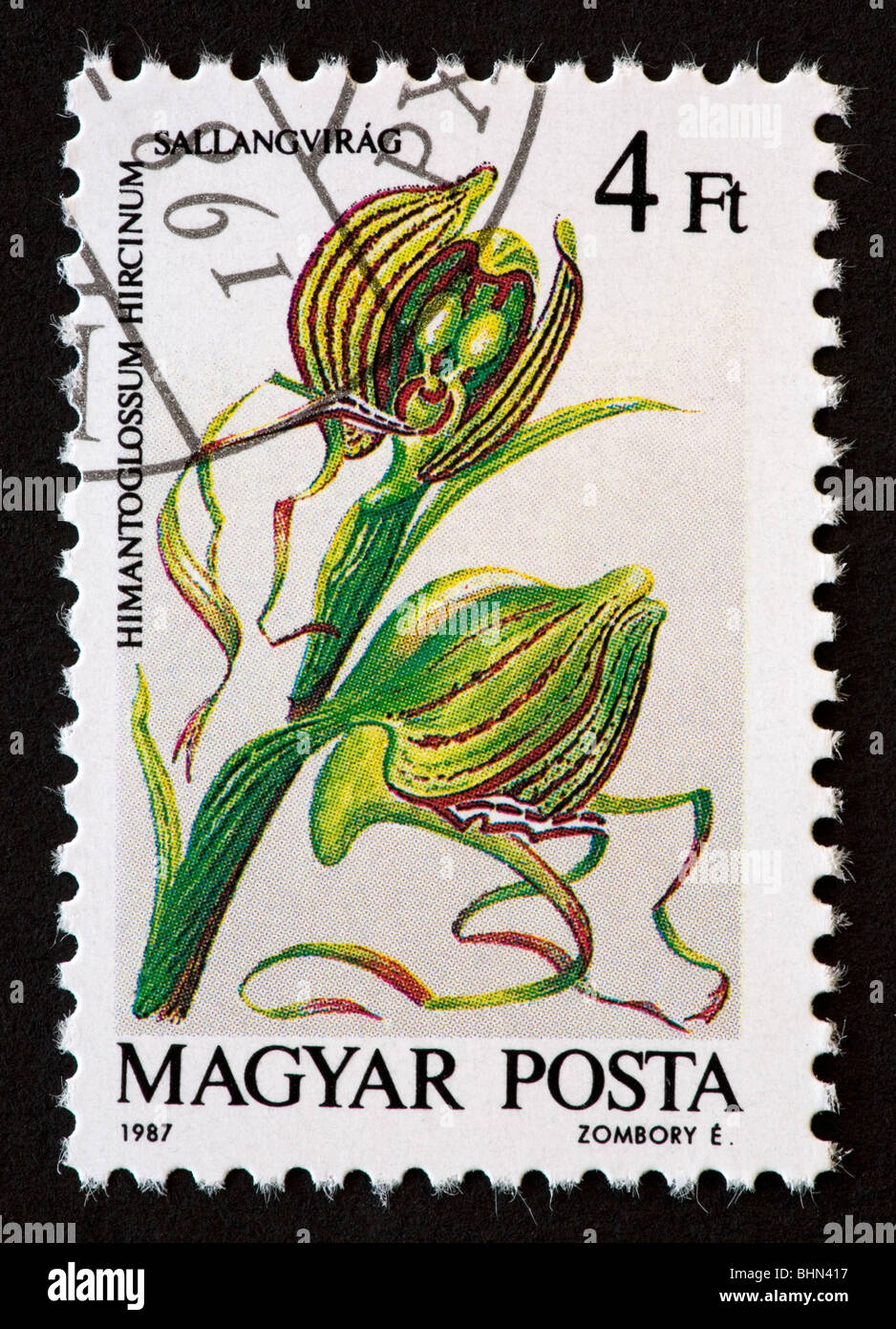 Hungarian postage stamp showing an orchid Stock Photo - Alamy
