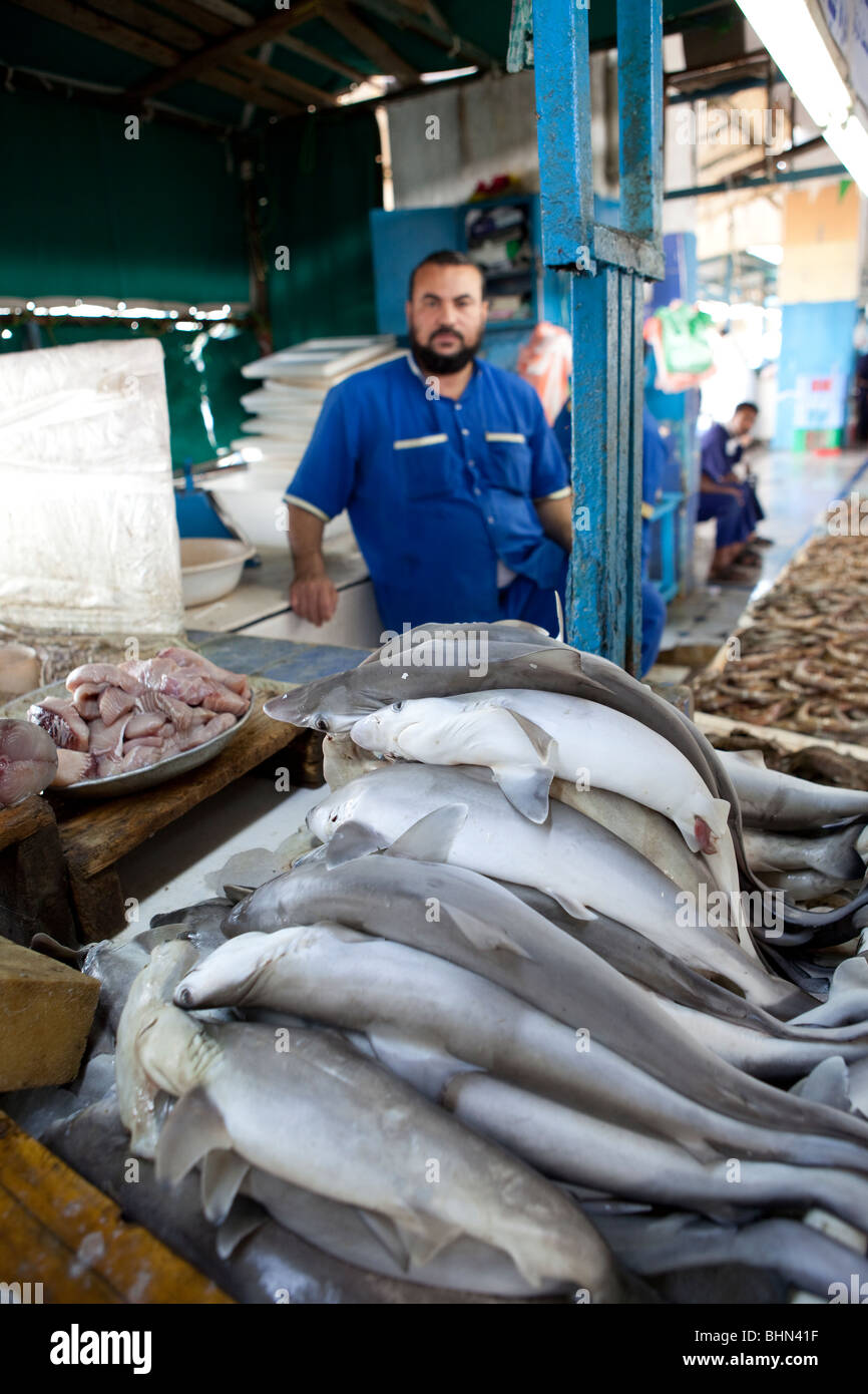 Fish market souk Jeddah Saudi Arabia Arabian food Stock Photo Alamy