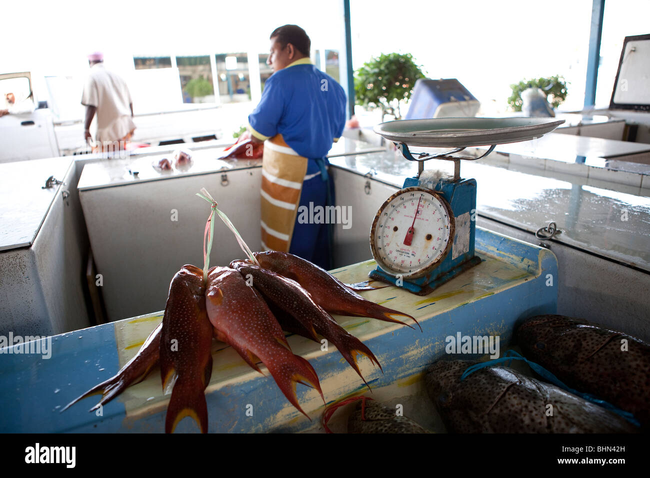 Fish market jeddah saudi arabia hires stock photography and images Alamy