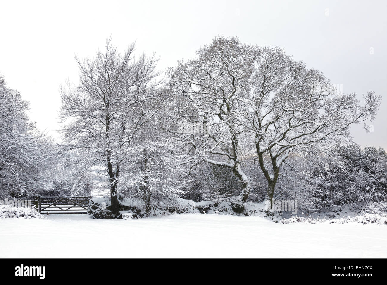 Snow scene in the village of Crapstone, Devon, UK Stock Photo