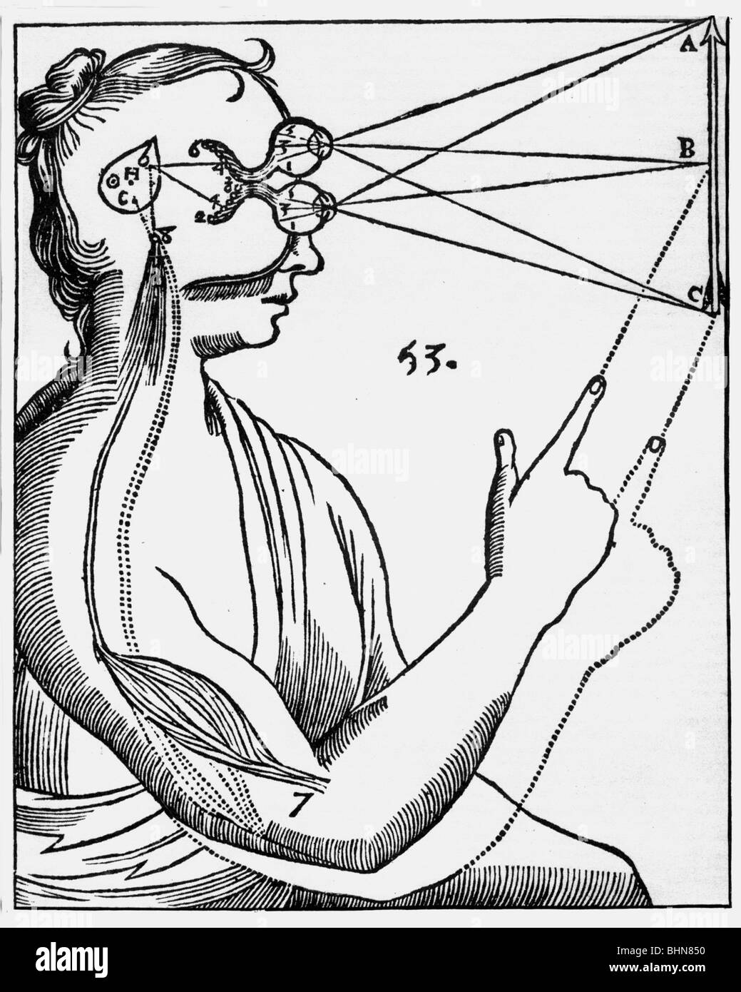 medicine, soul, pineal gland as point of soul, drawing from 'Traite de l'homme) by Rene Descartes, 17th century, , Stock Photo