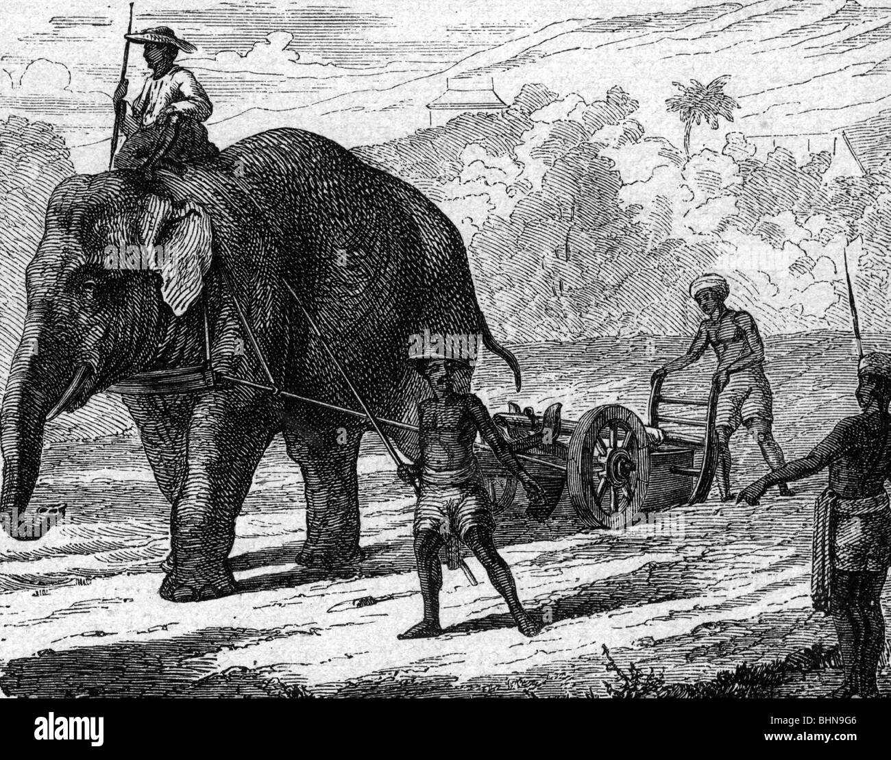 agriculture, farming, men with elephant plow, wood engraving, 19th century, historic, historical, working animal, working animals, plough, plow , ploughs, plows, yoke oxen to the plough, cultivation, farmer, exotic, people, Stock Photo