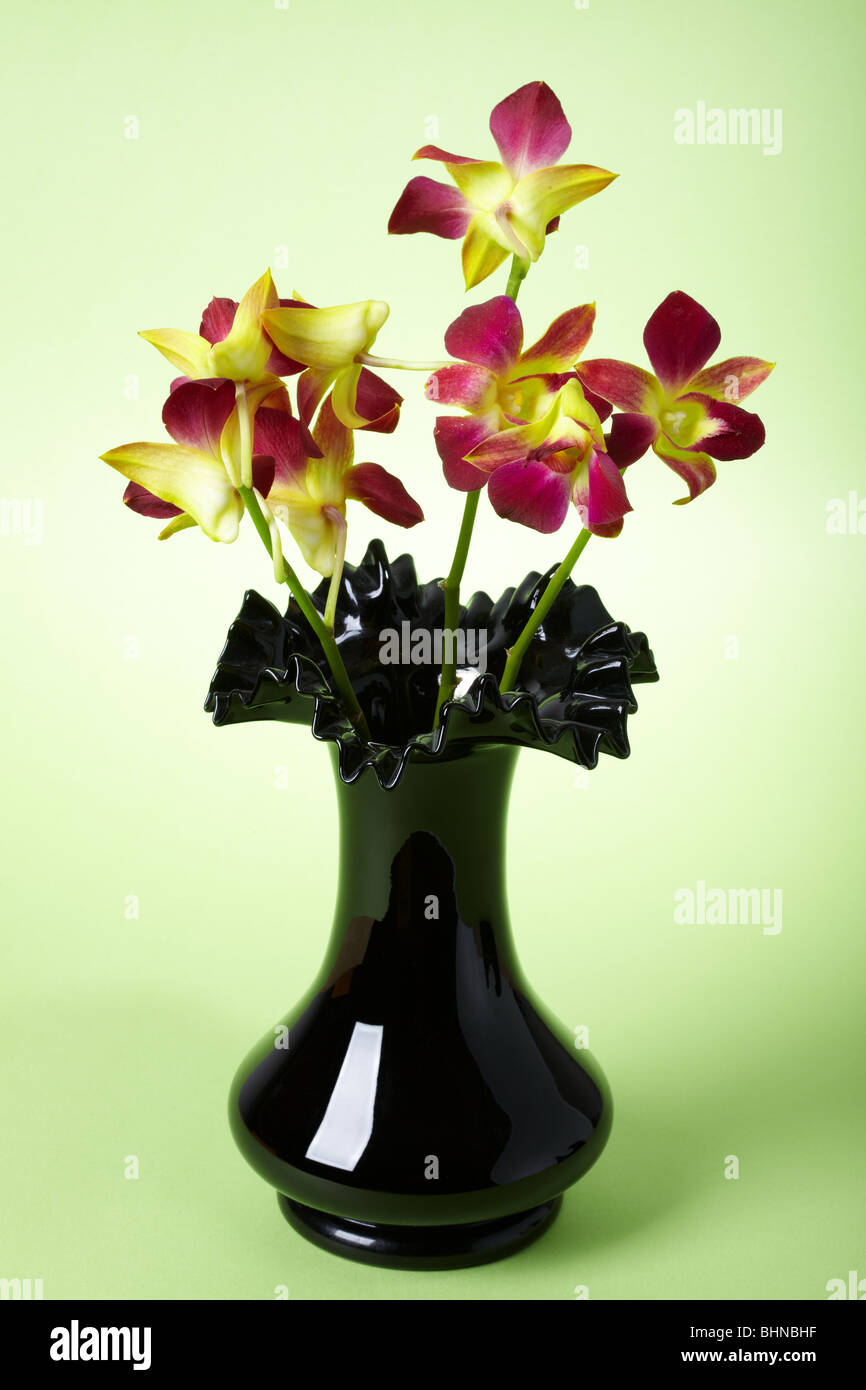 Pink orchids in a vase Stock Photo Alamy