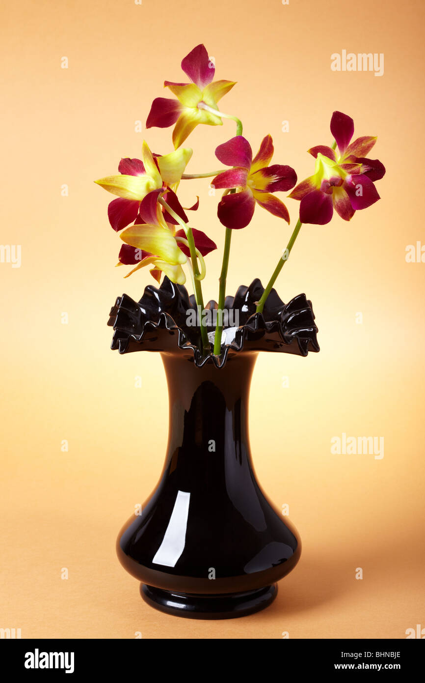 Vase of pink orchids hi-res stock photography and images - Alamy
