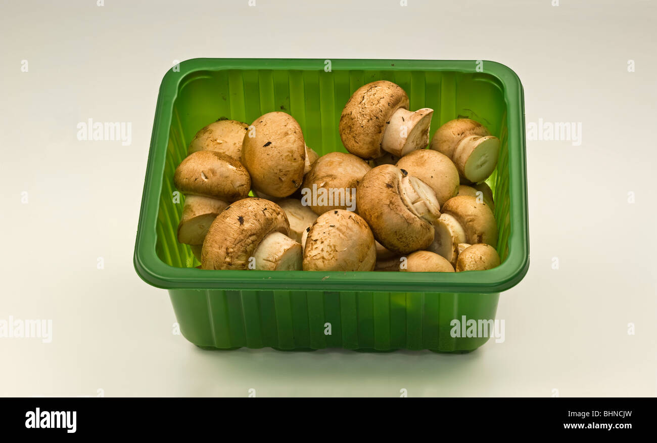 Champignons Agaricus campestris Stock Photo